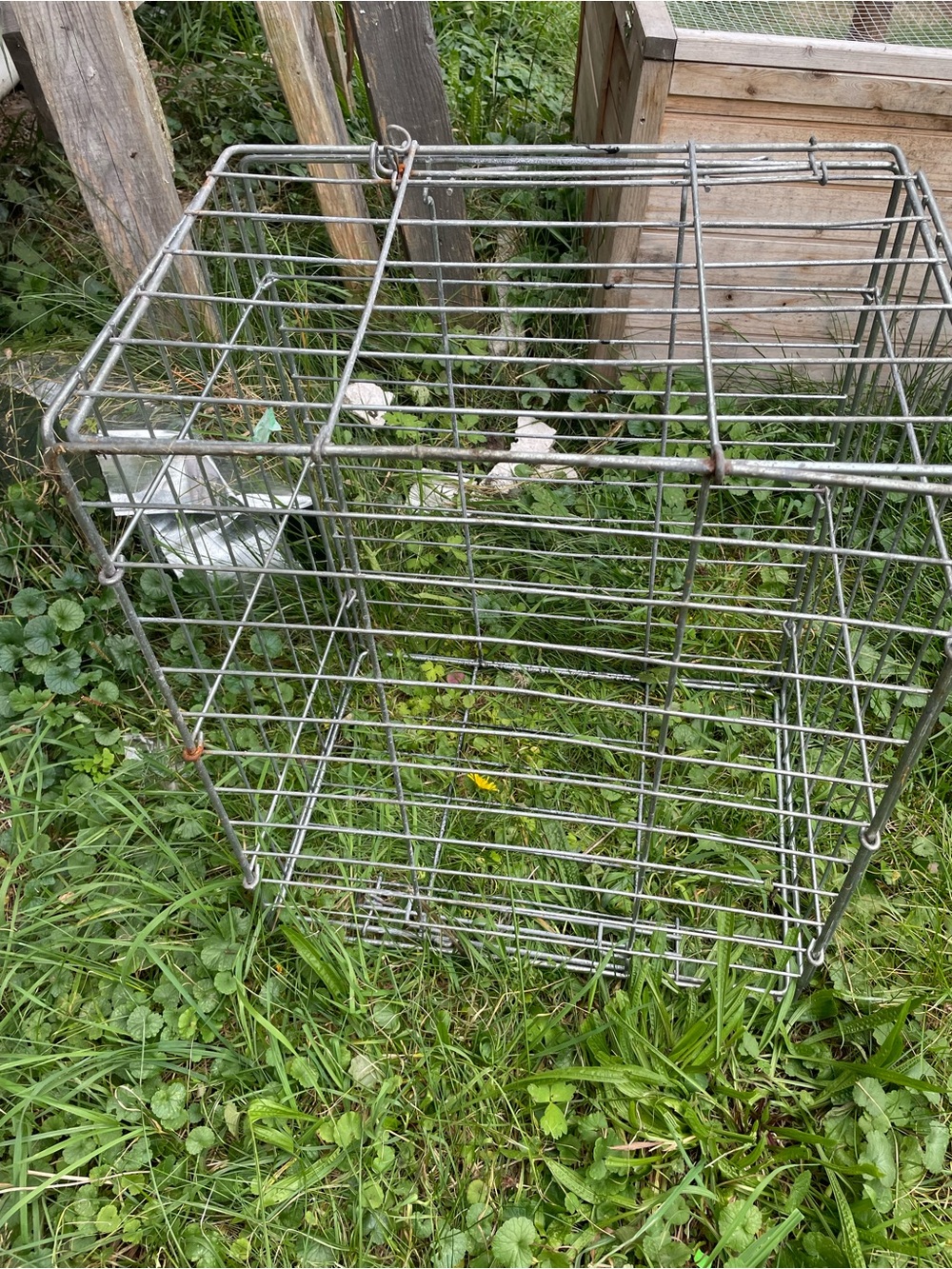 Wire Small Pet Cage - Silver Metal